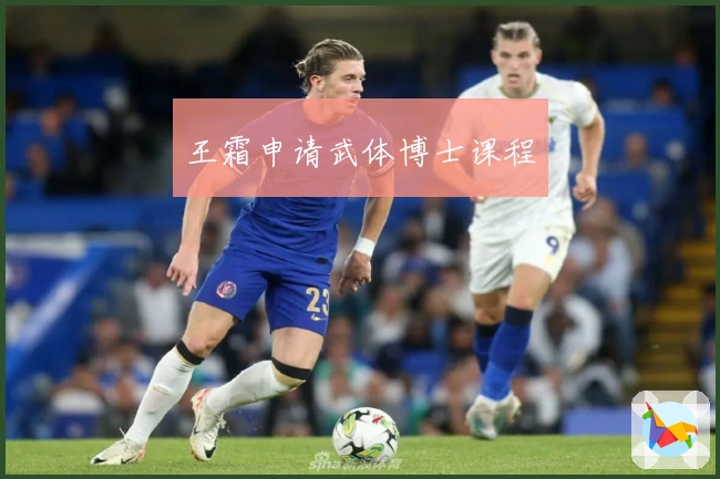 王霜申请武体博士课程